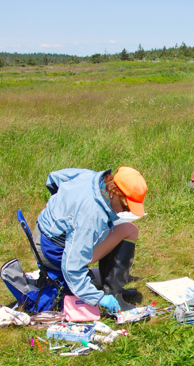 Martha Johnson: Instructor